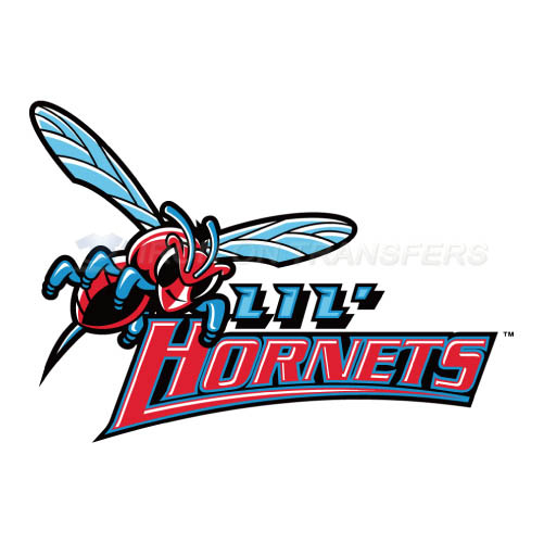Delaware State Hornets Iron-on Stickers (Heat Transfers)NO.4246